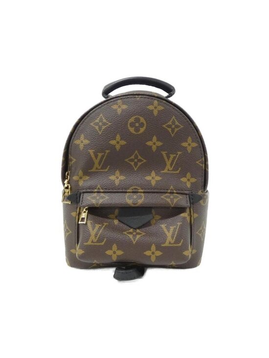 Louis Vuitton Monogram Palm Spring Backpack Mini Sac